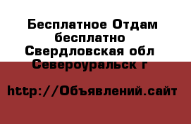 Бесплатное Отдам бесплатно. Свердловская обл.,Североуральск г.